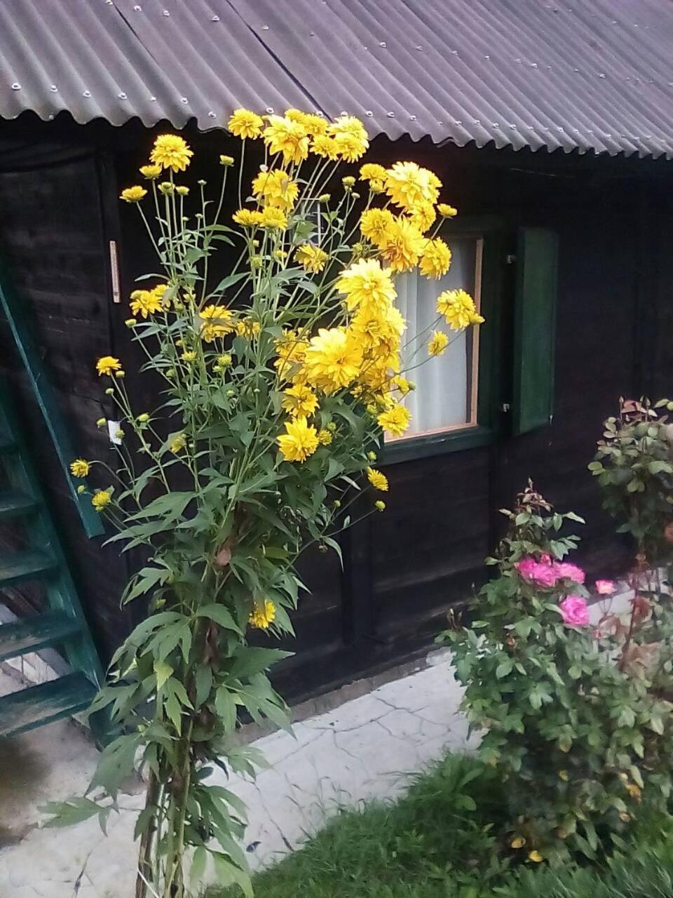 Holiday Home Vila Milka Kremna Zewnętrze zdjęcie